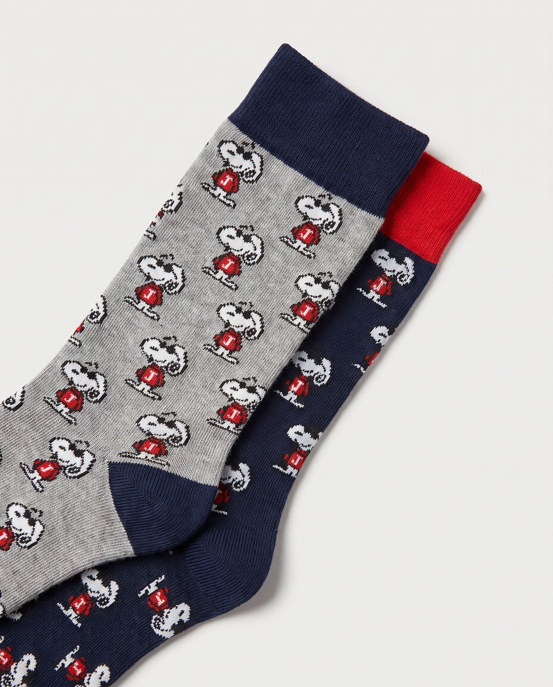 Calzini Uomo PEANUTS Joe 1971 – 21346E