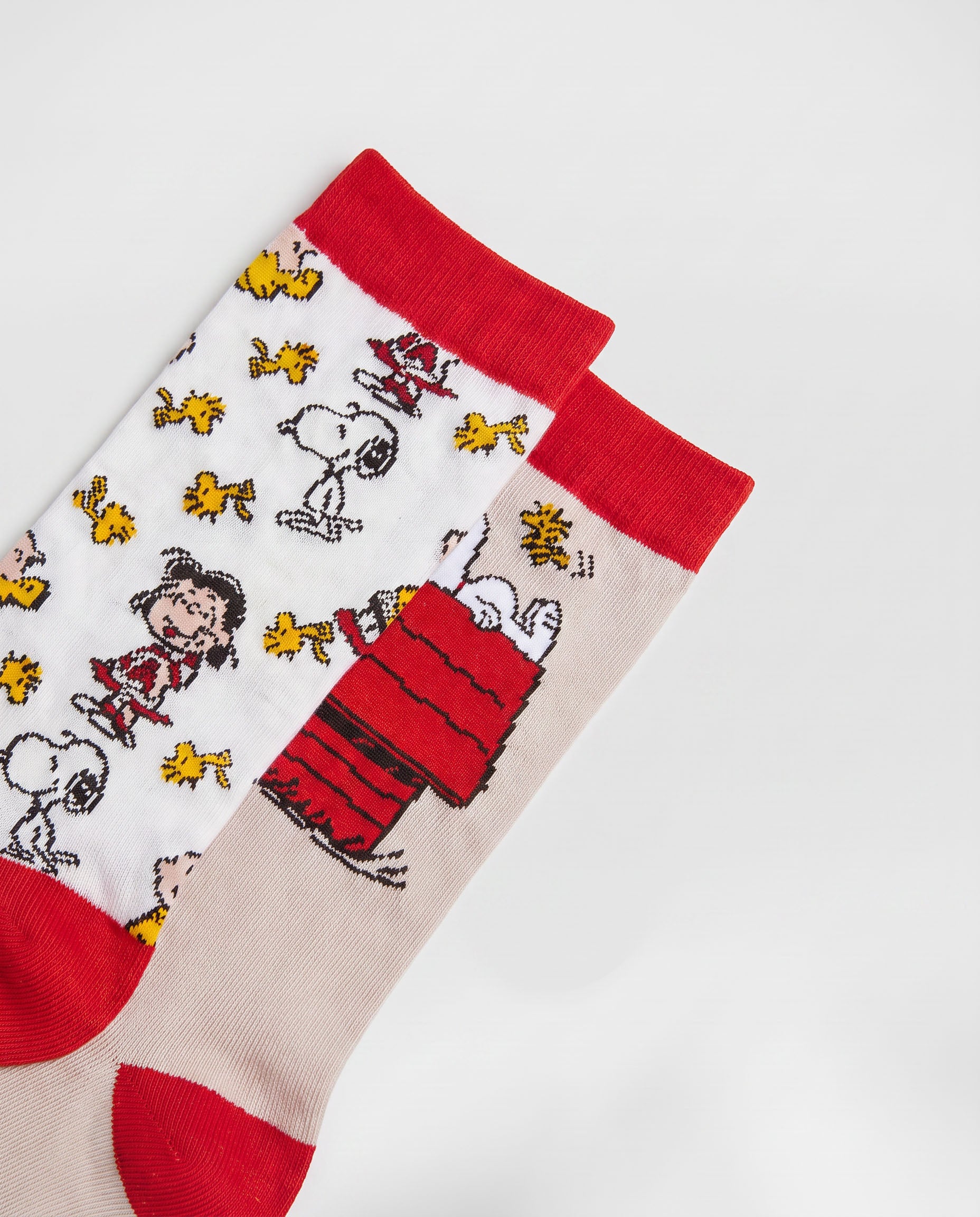 Calzini Donna PEANUTS Meet Up – 21371E