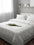 C00---cavalieri---DELFINA CCP2PAVORIO.JPG