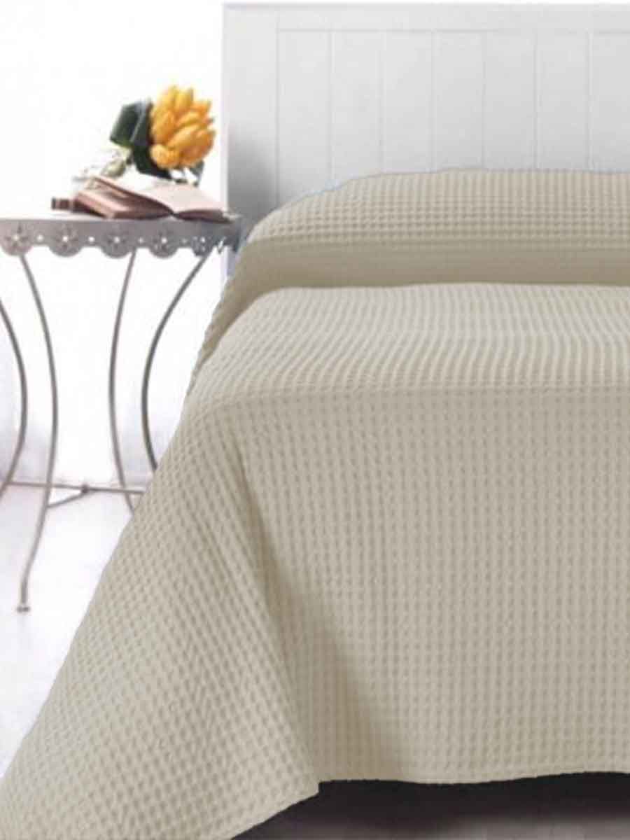 C00---cavalieri---MALAGA COPRILETTOAVORIO.JPG