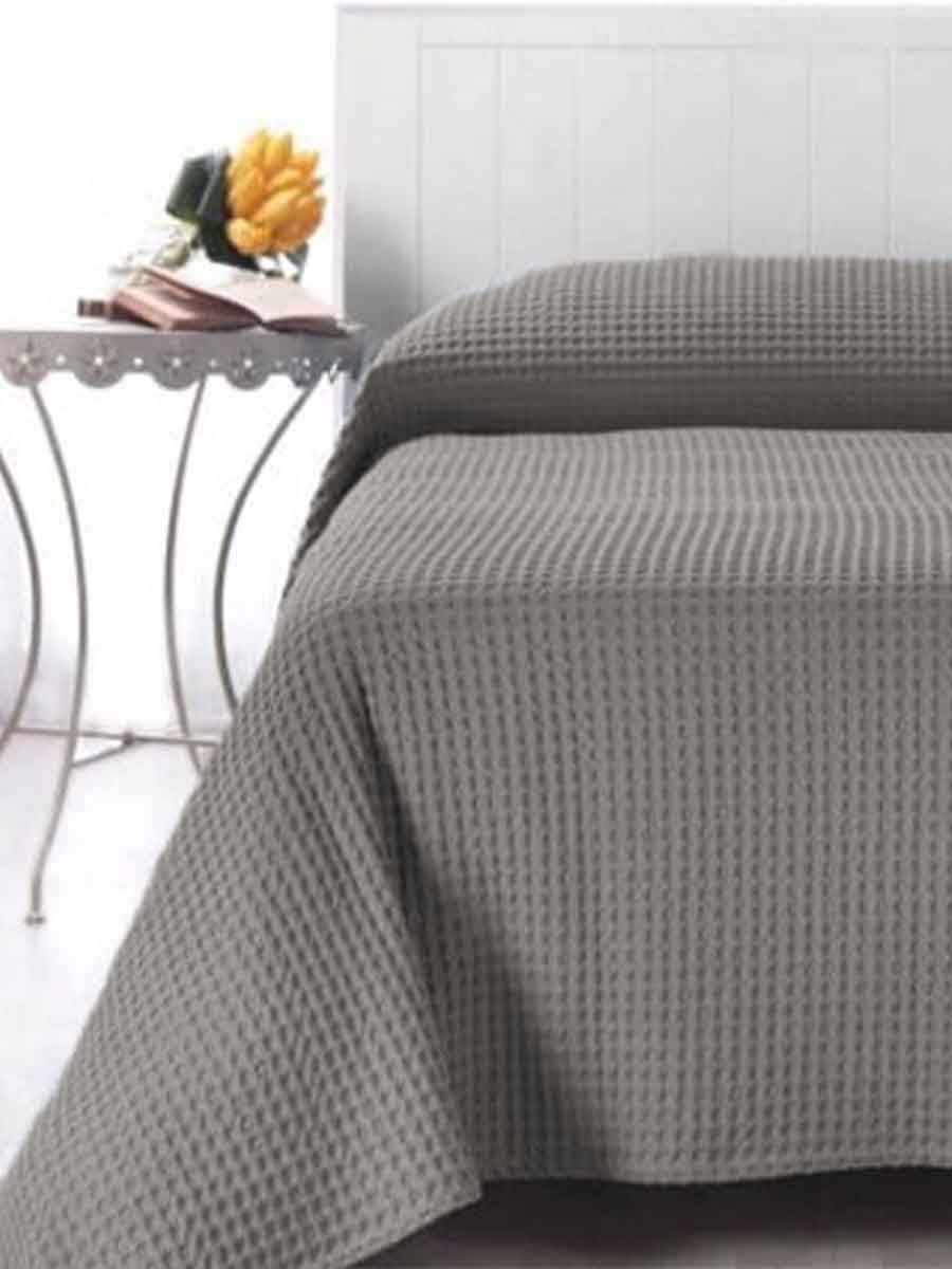 C00---cavalieri---MALAGA COPRILETTOGRIGIO.JPG