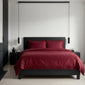 C00---daltex---ESSE CCPBORDEAUX.JPG