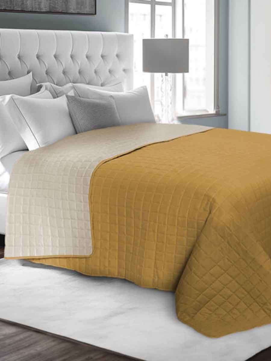 C00---daunex---BICOLOR QUIOCRA()LINO.JPG