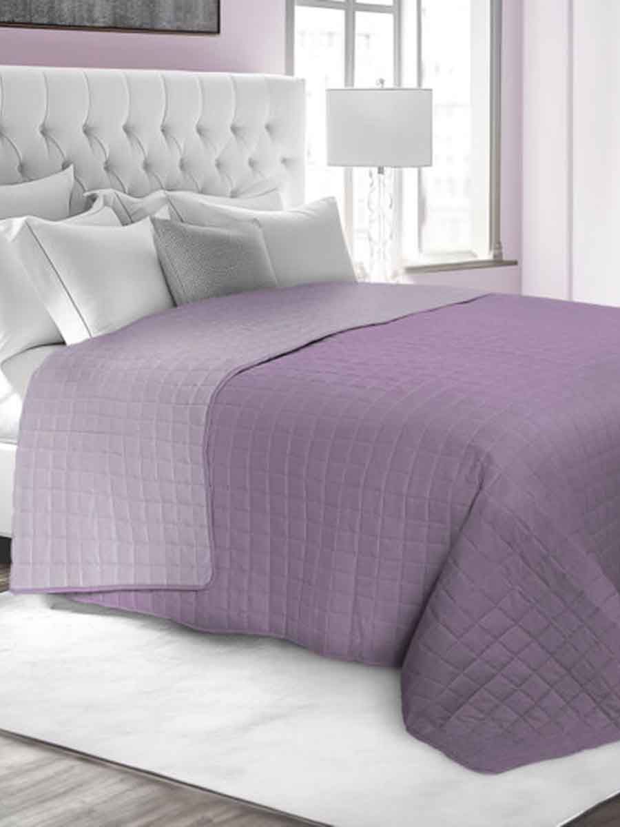 C00---daunex---BICOLOR QUIORCHIDEA()MALVA.JPG