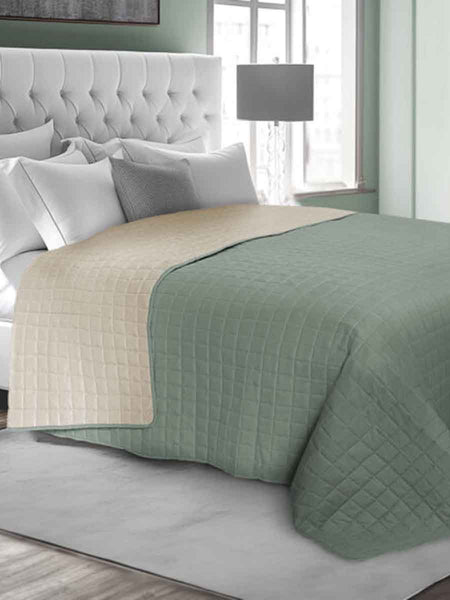 C00---daunex---BICOLOR QUISALVIA()LINO.JPG