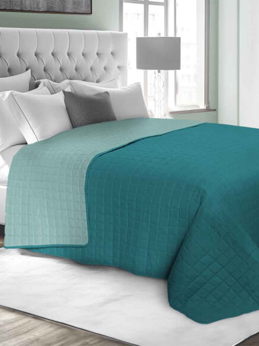 C00---daunex---BICOLOR QUITURCHESE()ACQUA.JPG