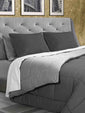 C00---daunex---BICOLOR TRAANTRACITE()PERLA.JPG