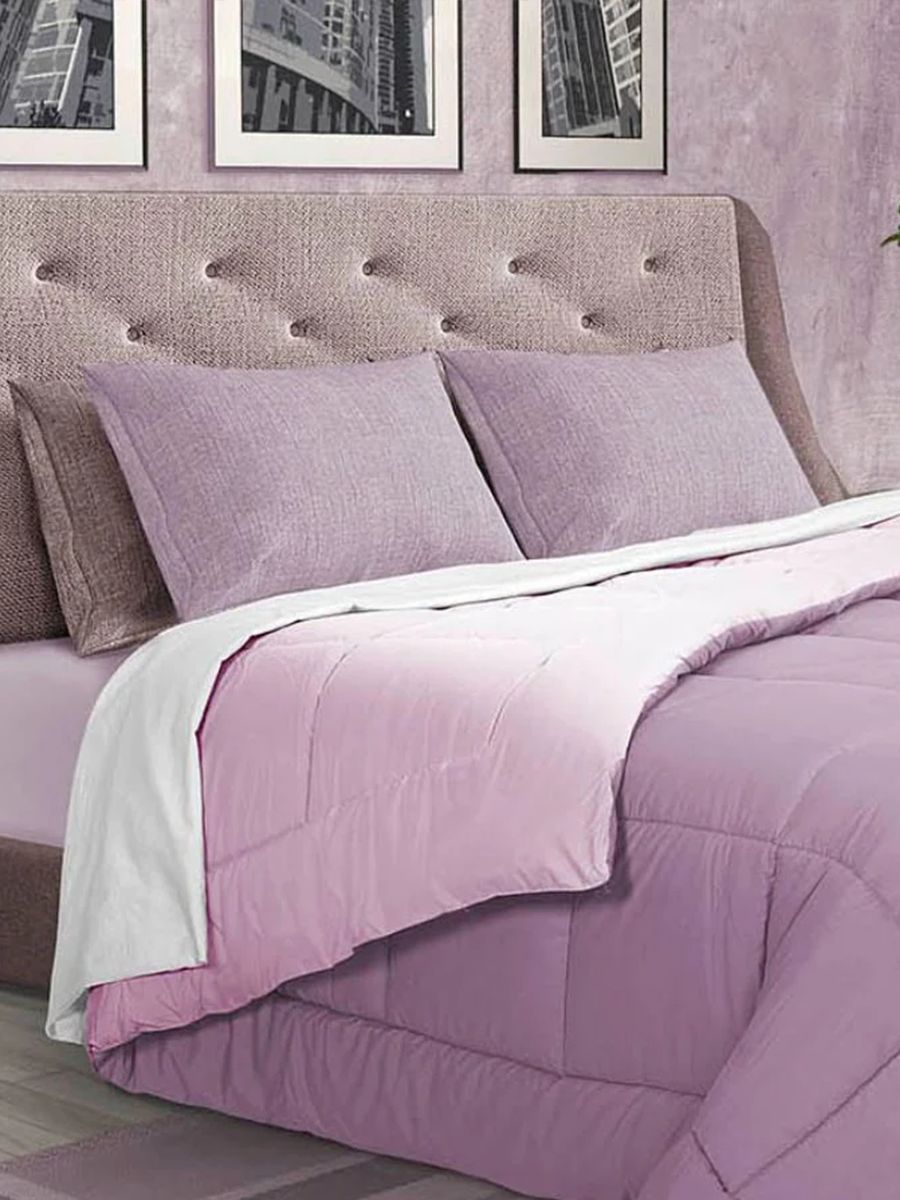 C00---daunex---BICOLOR TRAORCHIDEA()MALVA.JPG