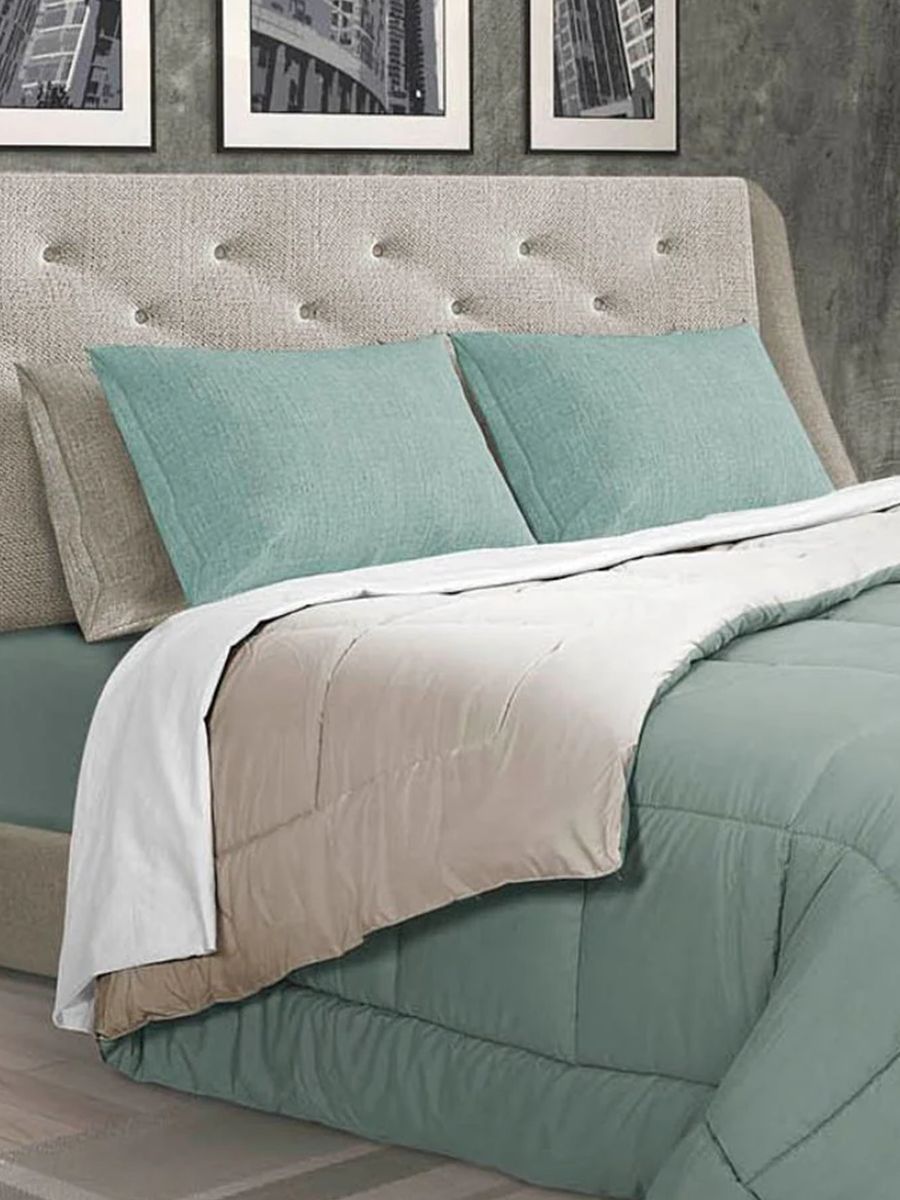 C00---daunex---BICOLOR TRASALVIA()LINO.JPG