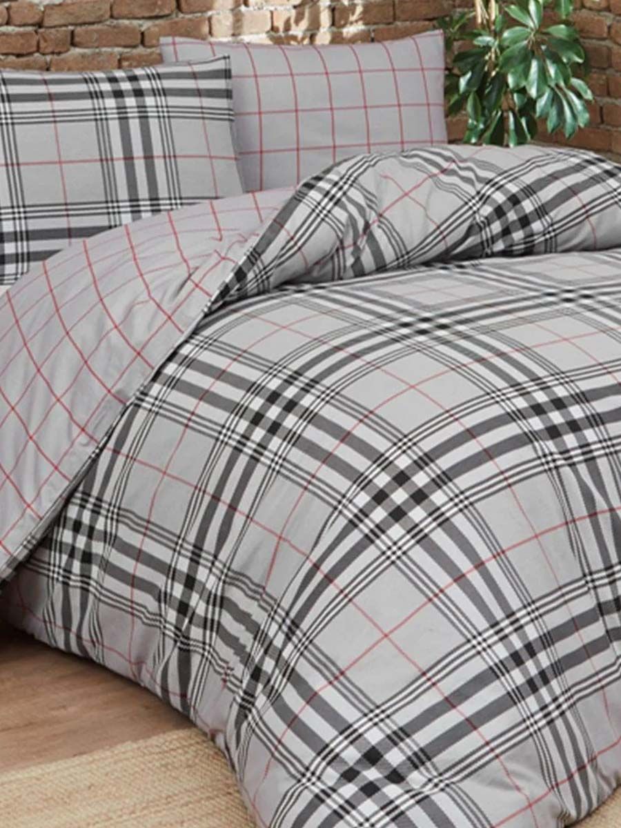 C00---daunex---BOSTON CCPGRIGIO.JPG