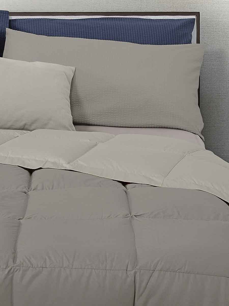 C00---daunex---CANAZEI REL714TORTORA.JPG