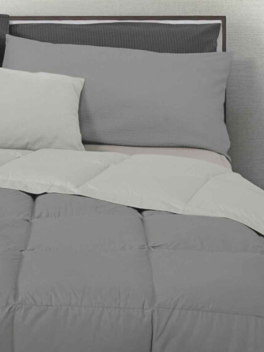 C00---daunex---CANAZEI REL717GRIGIO.JPG