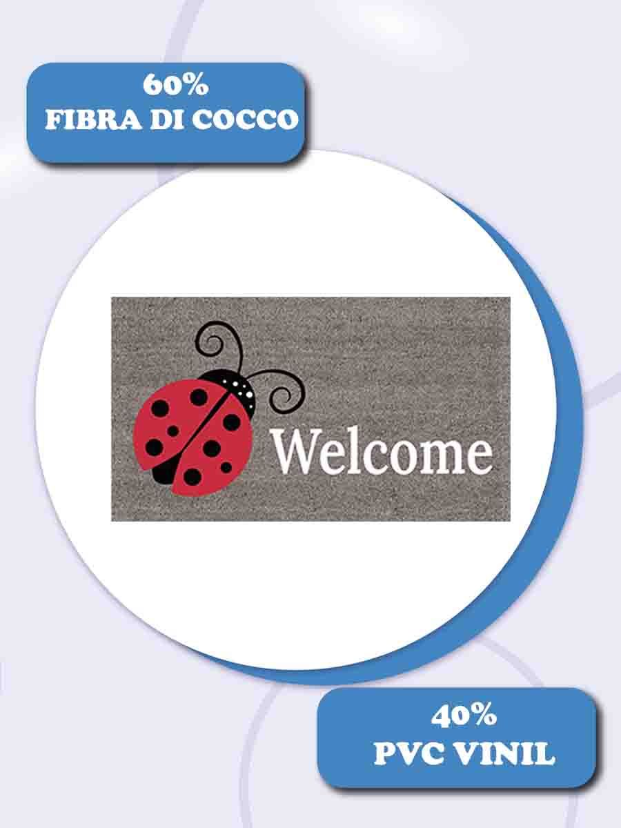 C00---daunex---COCCINELLA ZERBINOMULTICOLOR.JPG