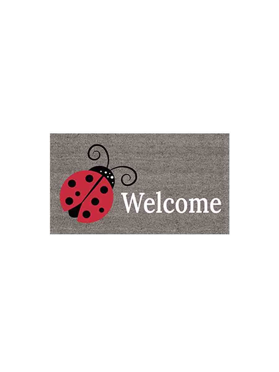 C00---daunex---COCCINELLA ZERBINOMULTICOLOR_1_P.JPG
