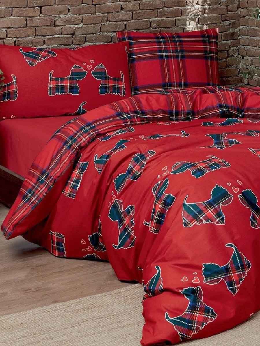 C00---daunex---CUCCIOLI CCPROSSO.JPG