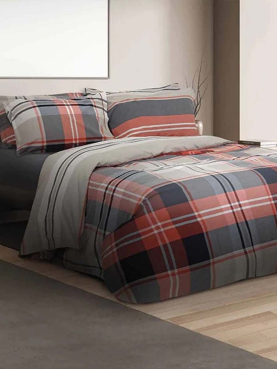 C00---daunex---OXFORD CCPMULTICOLOR.JPG