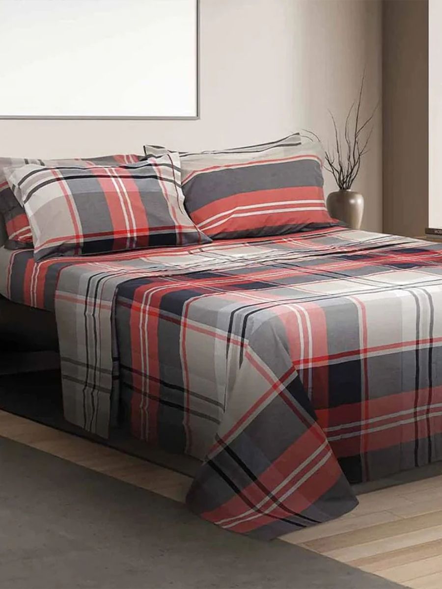 C00---daunex---OXFORD CPLMULTICOLOR.JPG