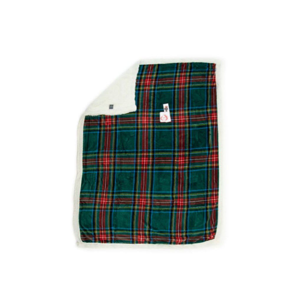 C00---daunex---TARTAN MORB-LIGHTVERDE.JPG