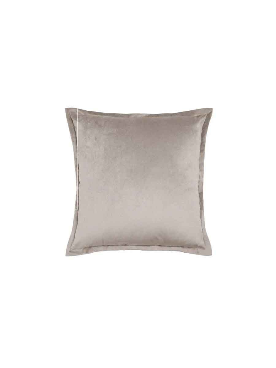 C00---gruppo carillo---VELVET50x50POLVERE.JPG