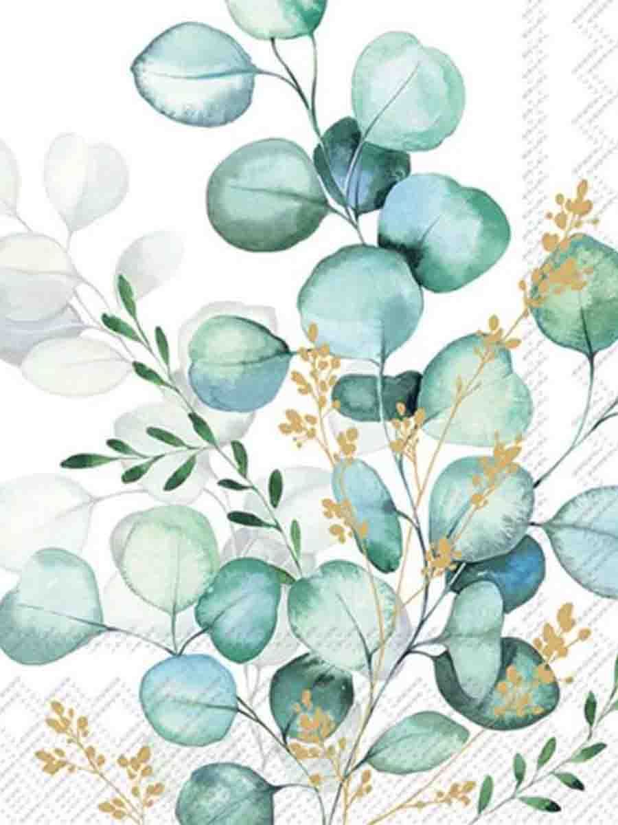 C00---ihr---L036609EUCALYPTUS BOQ.JPG