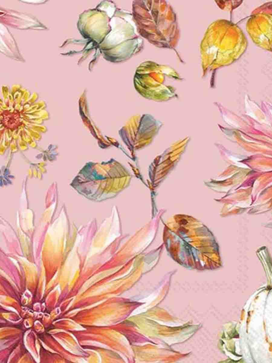 C00---ihr---L049755DAHLIA DREAM.JPG