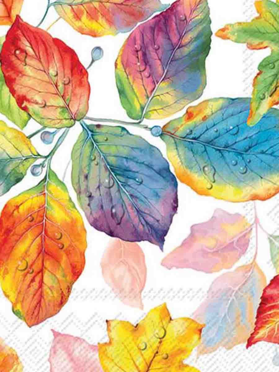 C00---ihr---L050300COL LEAVES.JPG