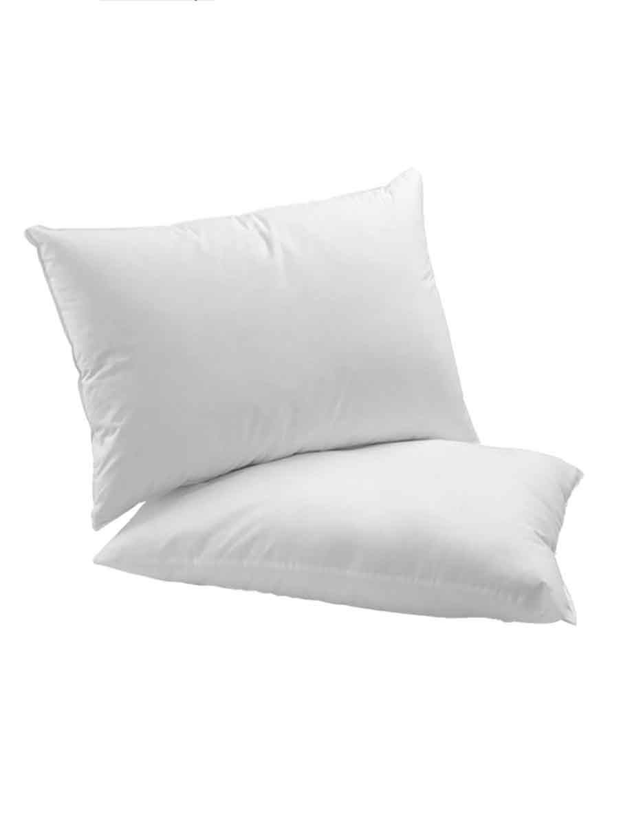 C00---simmons---PLANET H10LATTICE_1_P.JPG