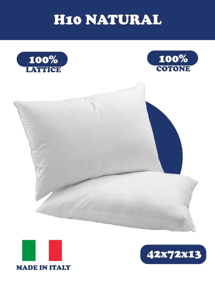 C00---simmons---PLANET H10LATTICE.JPG