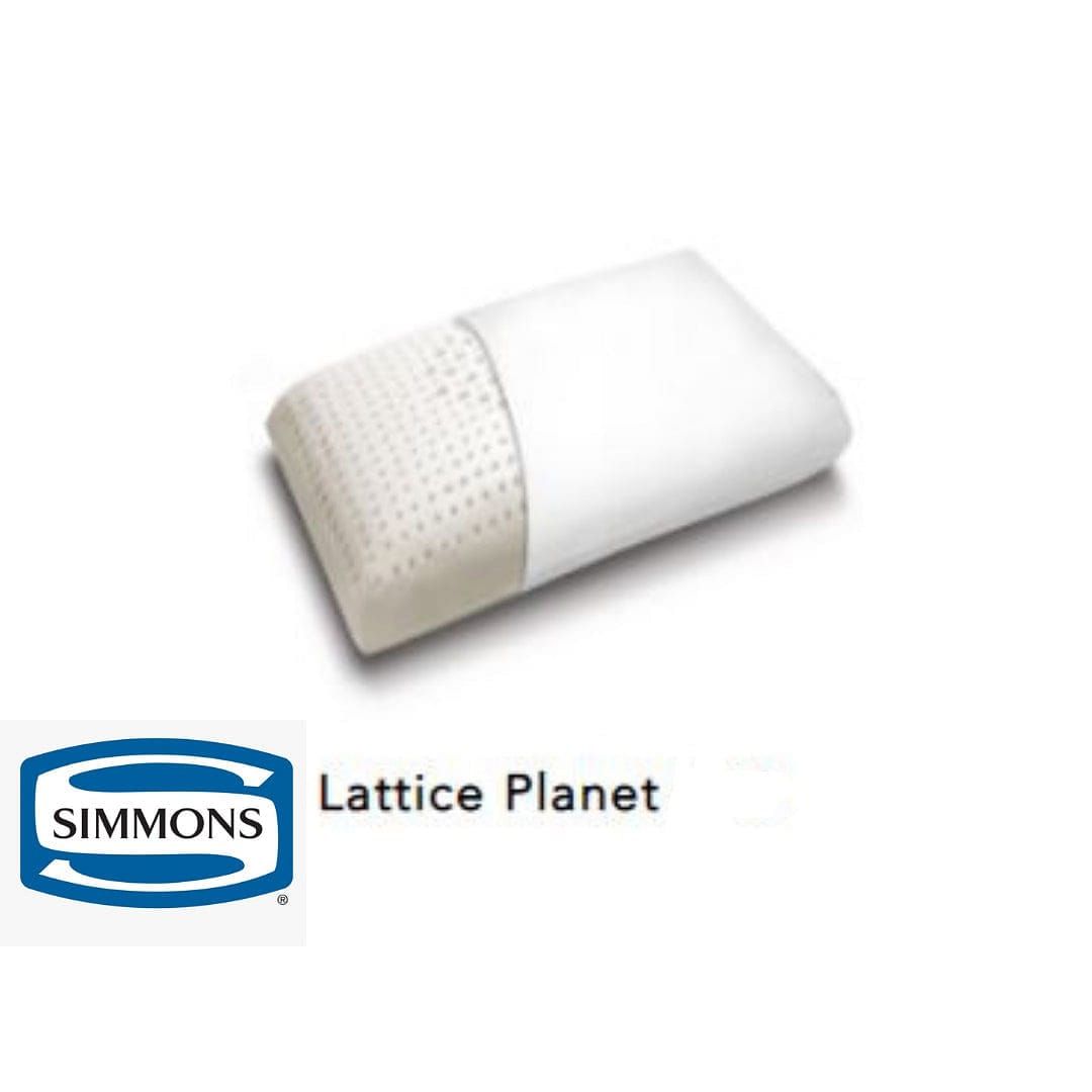 C00---simmons---PLANET H13LATTICE.JPG