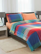 Completo Letto In Percalle Di Puro Cotone 200TC Tinto In Filo  Norwich - Daunex