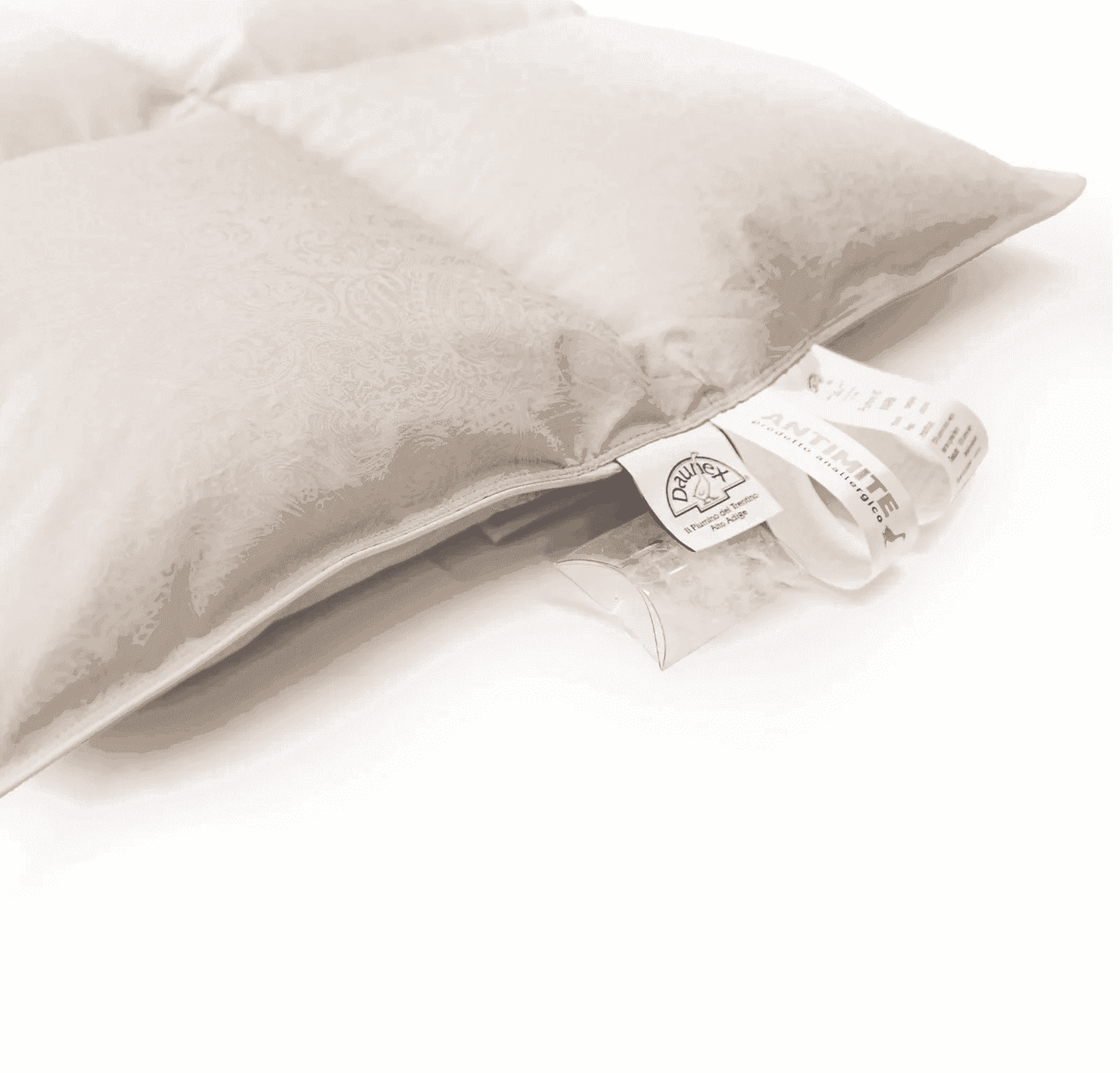 Daunex Piumino d'Oca K2 Warm con Piuma islandese a grossi fiocchi