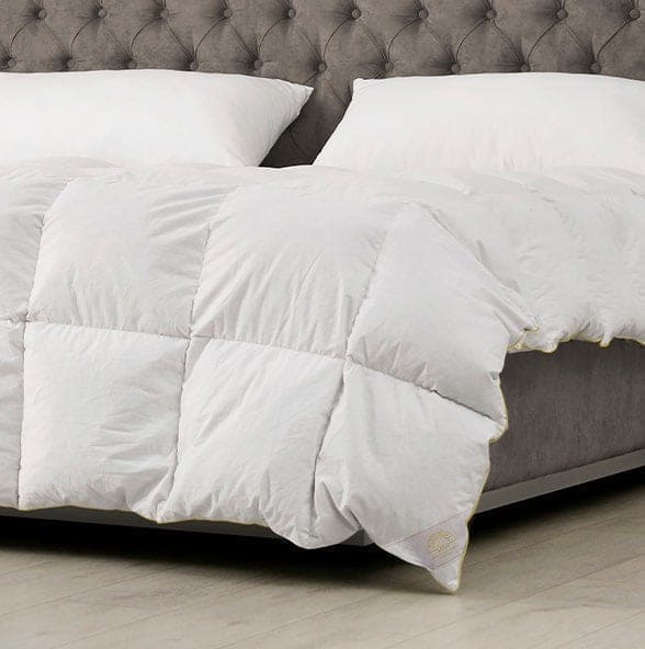 Daunex 100% Piumino D'Oca vergine artico Groenlandia Duo 4 Stagioni