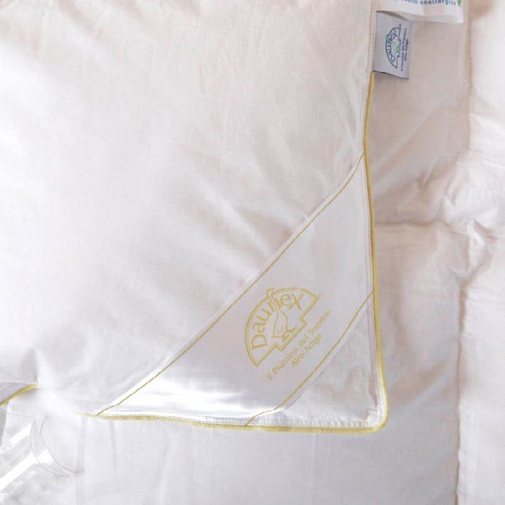 Daunex 100% Piumino D'Oca vergine artico Groenlandia Duo 4 Stagioni